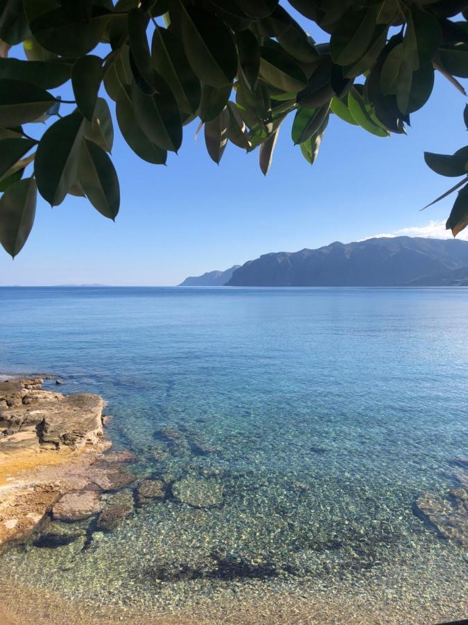The Island House - Family Size Apt - Overlooking The Aegean - 3 Steps From The Beach Μόχλος Εξωτερικό φωτογραφία